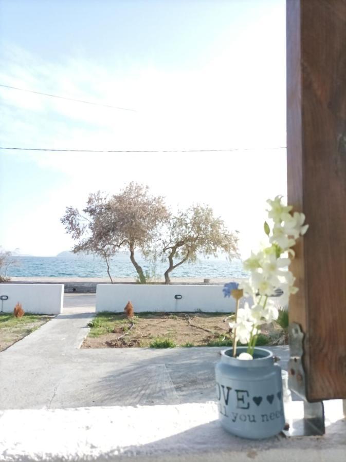 Pigadhia  V&E'S Apartments מראה חיצוני תמונה